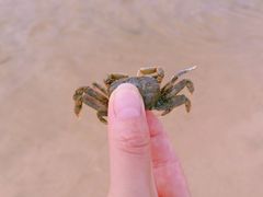 -银滩滨海旅游度假区