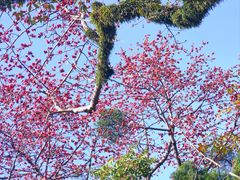 -广州中山纪念堂