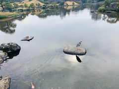 -水前寺成趣园