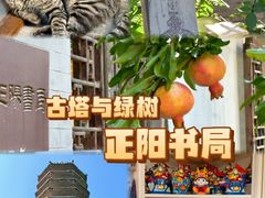 -正阳书局(西四南大街店)