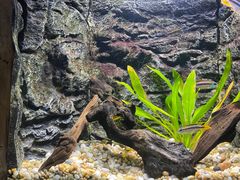 -上海海洋水族馆