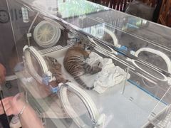 -宁波野生动物园