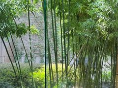 -杭州君悦酒店·湖滨28中餐厅