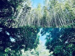 -法云安缦酒店