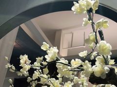 -梅花境(万科店)