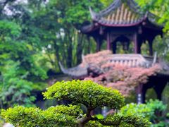 -成都杜甫草堂博物馆