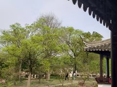 -松鹤楼(山塘街店)