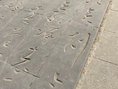 -大雁塔北广场音乐喷泉