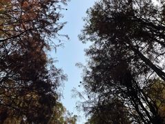 -尚湖风景区