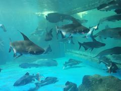 -多彩贵州城极地海洋世界