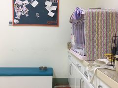 -美联众合动物医院·24h京西诊疗中心
