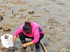 -日照世帆赛基地