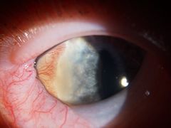 -爱侣宠医·鹦鹉专科·小型哺乳类·异宠专科(灵石路店)