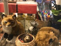 -狐狸家·酸奶酪专门店(平江路店)
