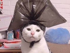 -满记甜品(苏州中心店)