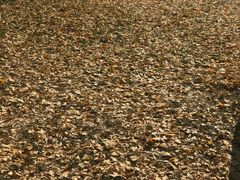 -北京师范大学邱季端体育馆