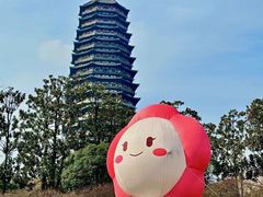 -红梅公园