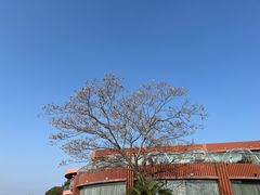 -水上明月·湖景餐厅