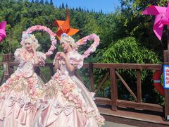 -黄海国家森林公园