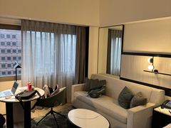 -新加坡乌节希尔顿酒店