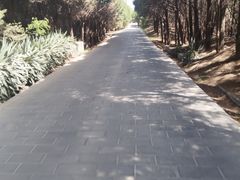 -秦始皇帝陵博物院-丽山园