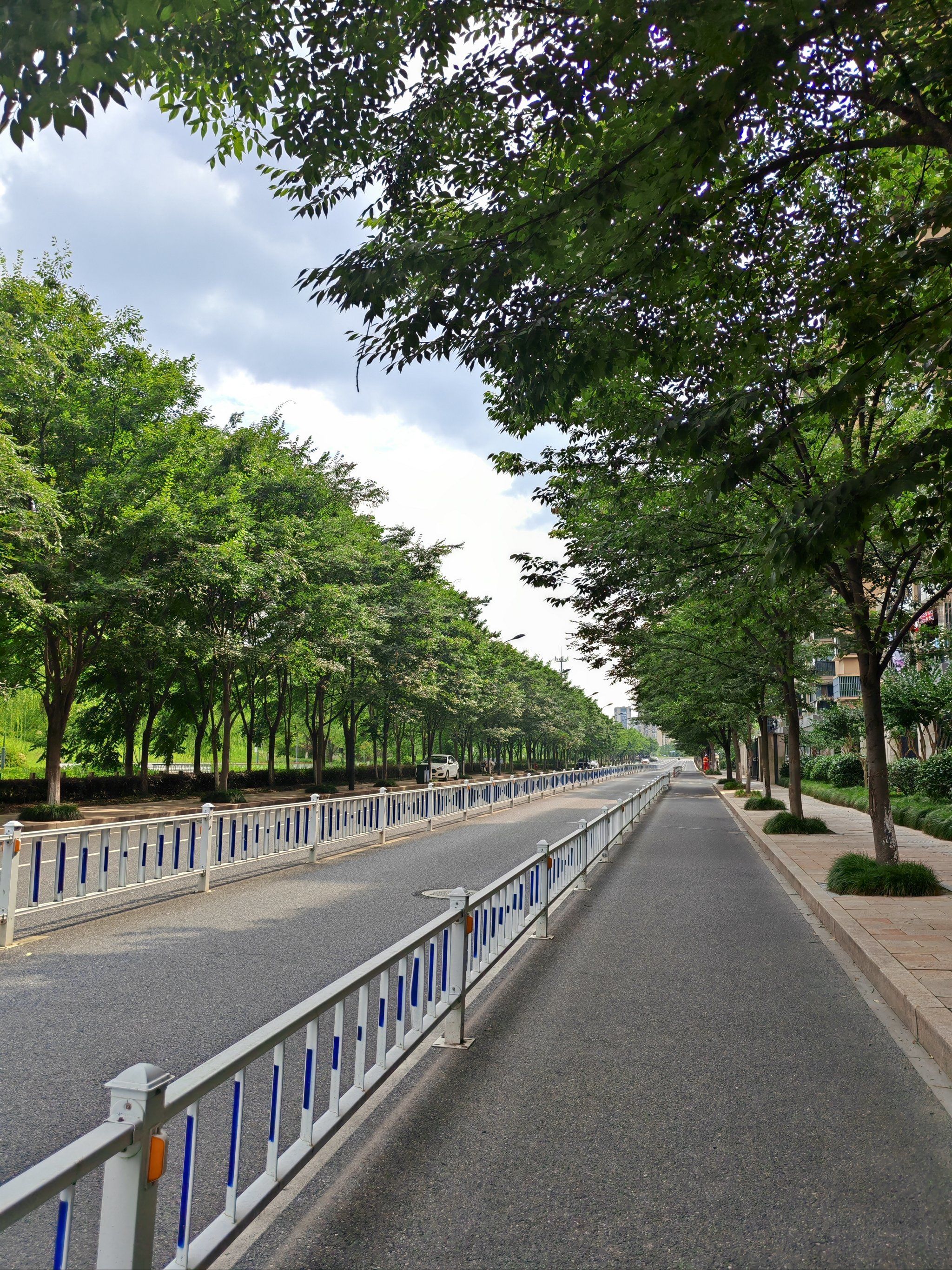 人行道旁的风景