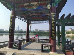 -莲花池公园