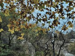 -秦岭终南山世界地质公园翠华山景区