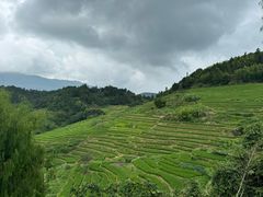 -南靖田螺坑土楼群景区
