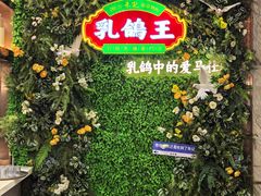 -朱记乳鸽王·非遗石岐乳鸽·全鸽宴(大兴旗舰店)