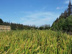 -前小桔亲子创意农场·草莓采摘·露营烧烤