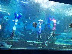 -石林冰雪海洋世界