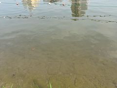 景点-黄兴公园