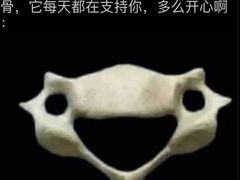 -加伍磅健身(千树店)