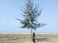 -白沙门生态公园
