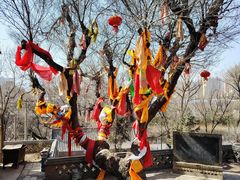 -土楼观-北禅寺