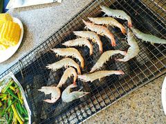 -吴淞炮台湾湿地森林公园烧烤区