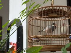 -31号公馆(黄兴广场白果园店)