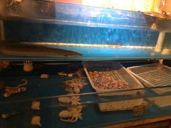 水产区-原始泥炉烤肉(总店)
