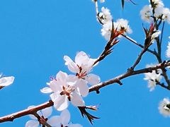 -天津东丽湖风景区