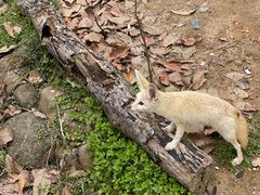 -杭州少年儿童公园