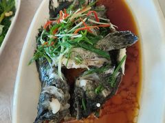 -众味海鲜大排档·活海鲜·潮汕味(南澳店)
