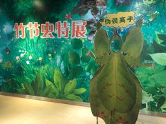 -上海昆虫博物馆