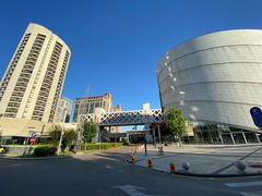 -二十一世纪饭店-游泳馆