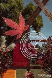 -Sunny喜铺婚礼策划(东部店)