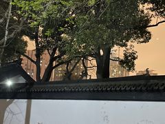 -西园戒幢律寺