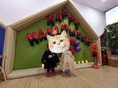 -豆初托育园 Baby Bean Day care Center
