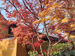 -龙华寺