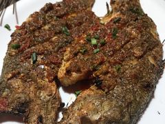 -小杨烤肉(朱雀店)