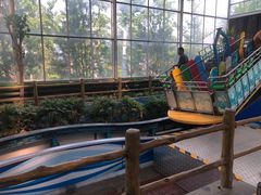 -南宫五洲植物乐园